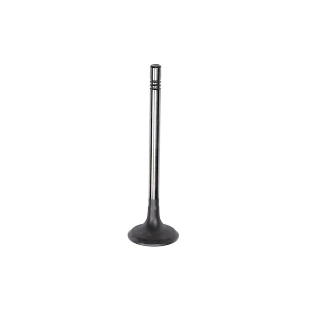 GM Genuine Parts Engine Exhaust Valve