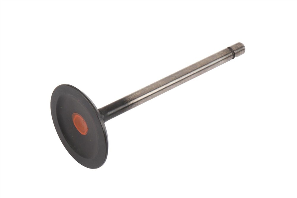 GM Genuine Parts Engine Intake Valve