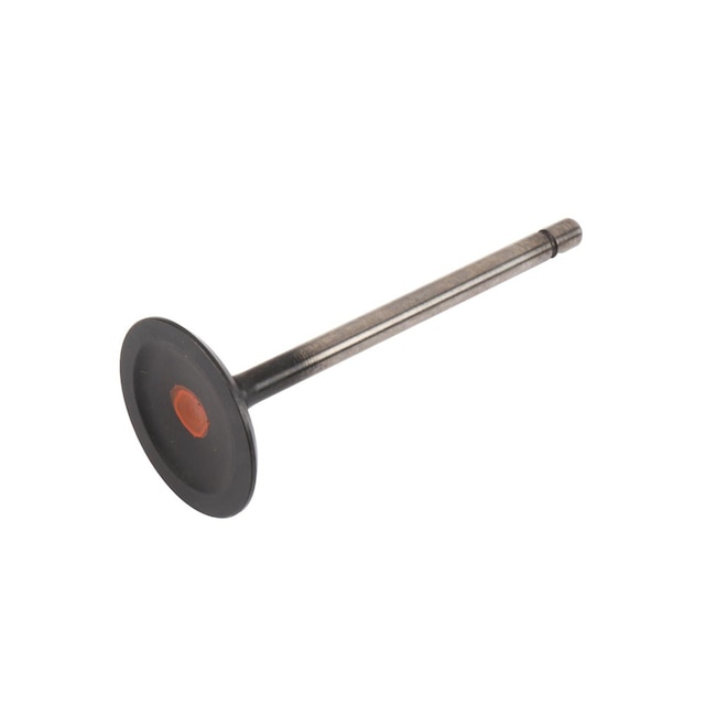 GM Genuine Parts Engine Intake Valve