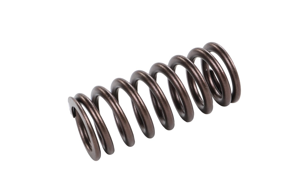 GM Genuine Parts Valve Spring