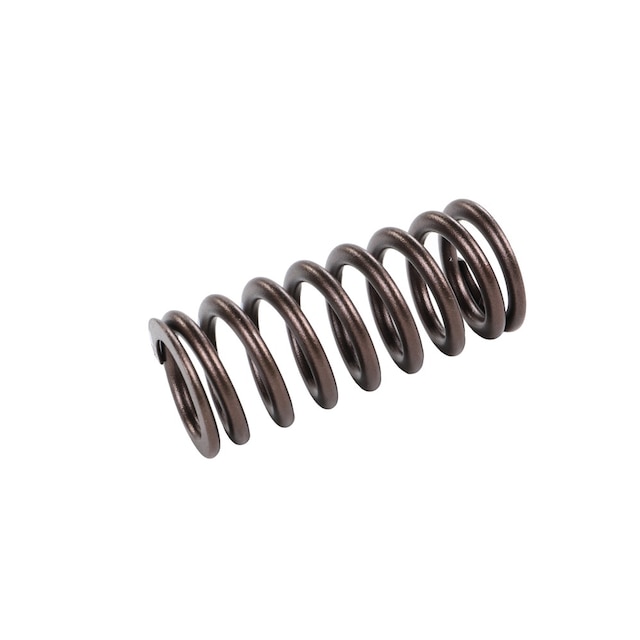 GM Genuine Parts Valve Spring
