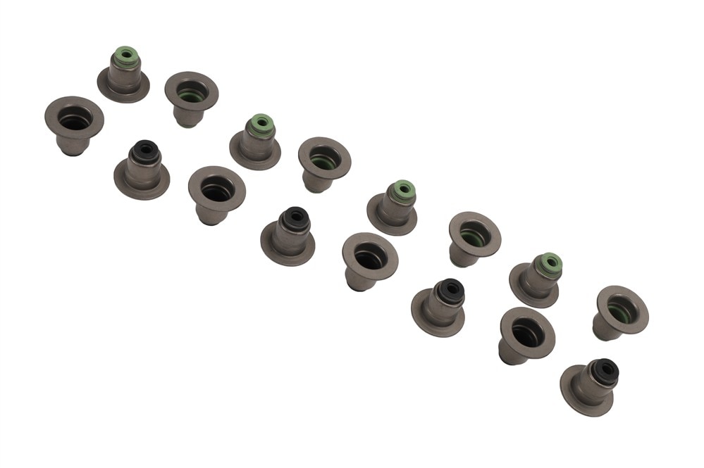 GM Genuine Parts Engine Valve Stem Oil Seal Set
