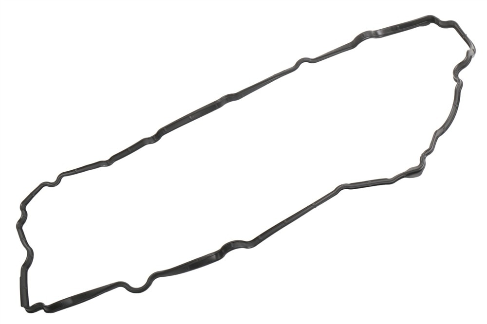 GM Genuine Parts Driver Side Camshaft Cover Seal