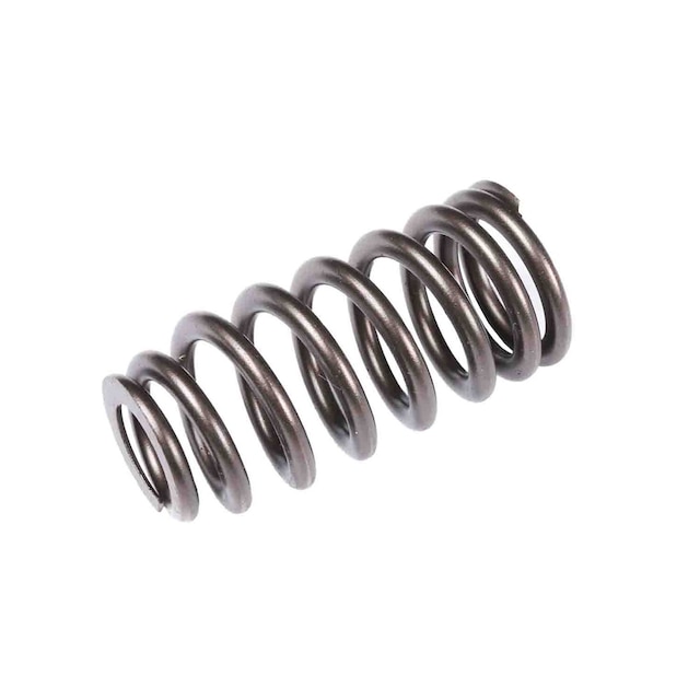 GM Genuine Parts Engine Valve Spring