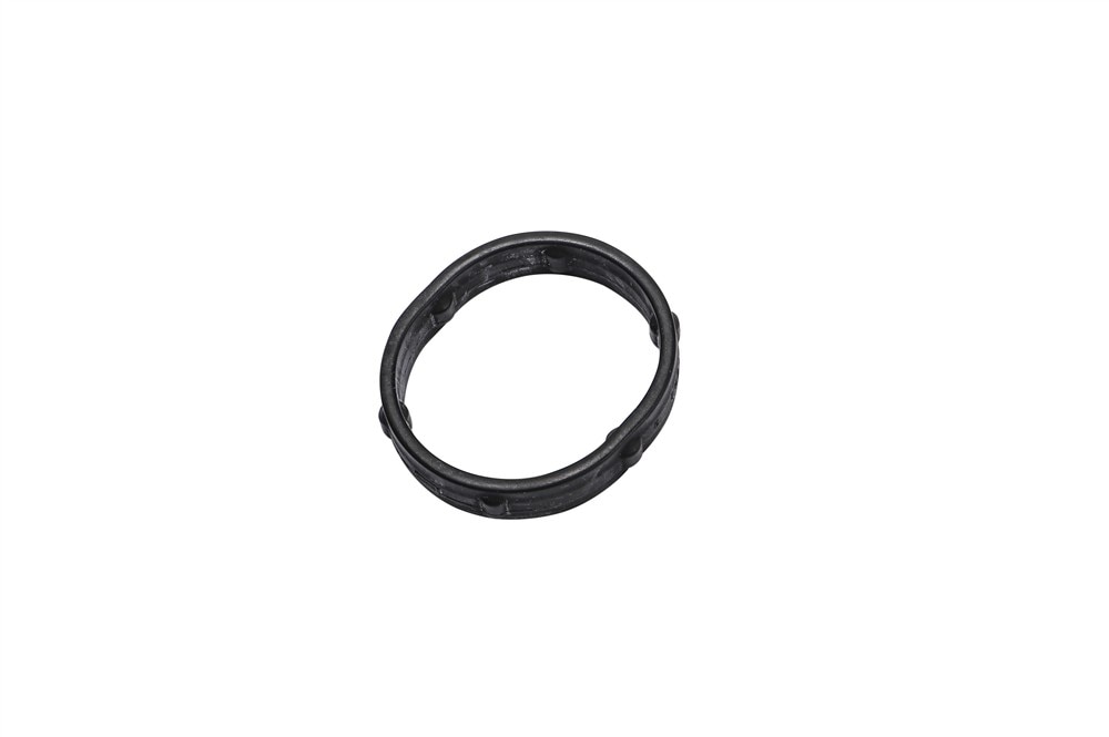 GM Genuine Parts Oil Pump Gasket
