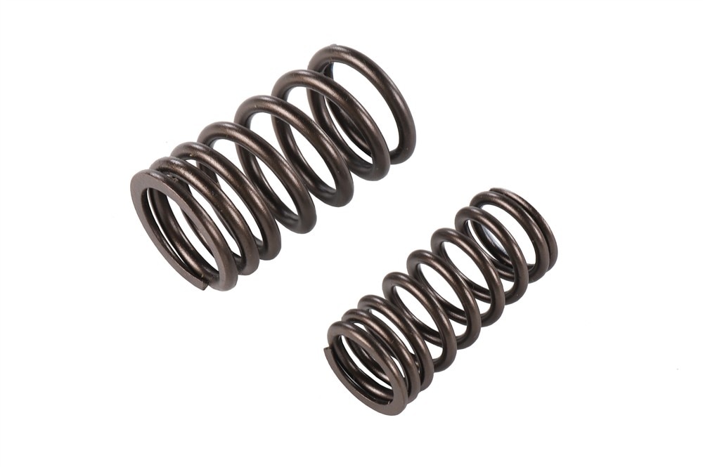 GM Genuine Parts Valve Spring