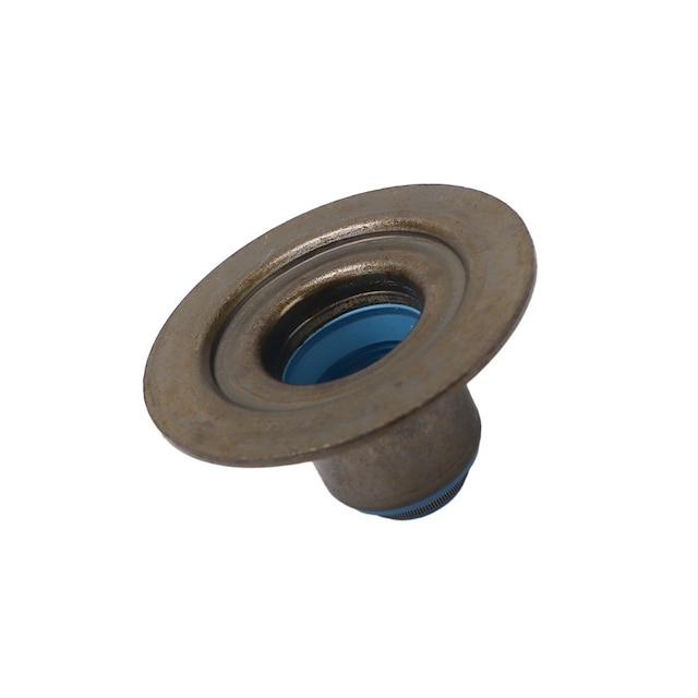 GM Genuine Parts Intake Valve Stem Oil Seal