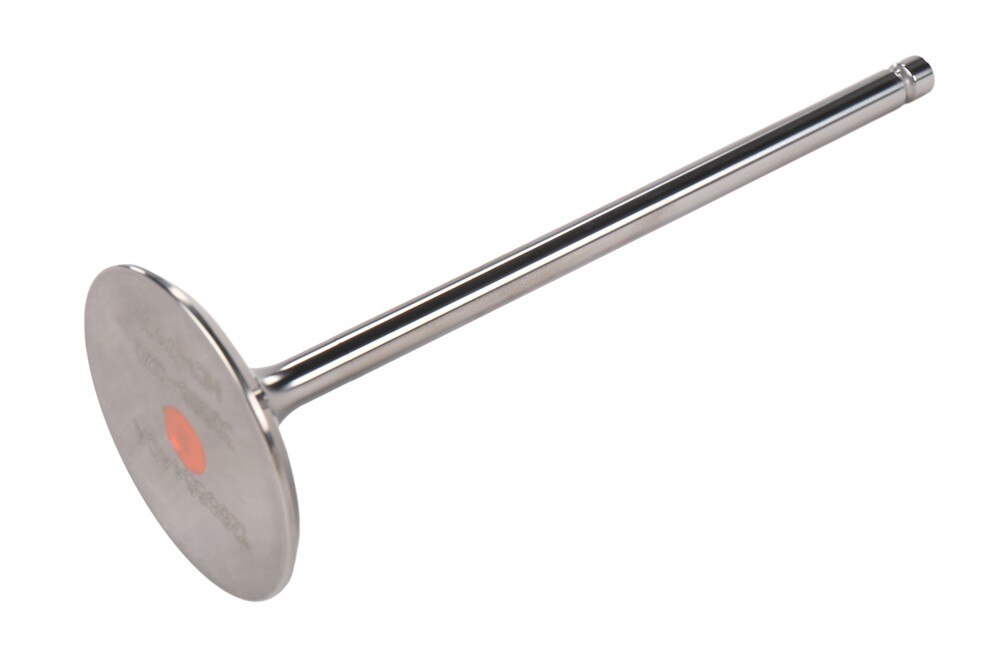 GM Genuine Parts Intake Valve