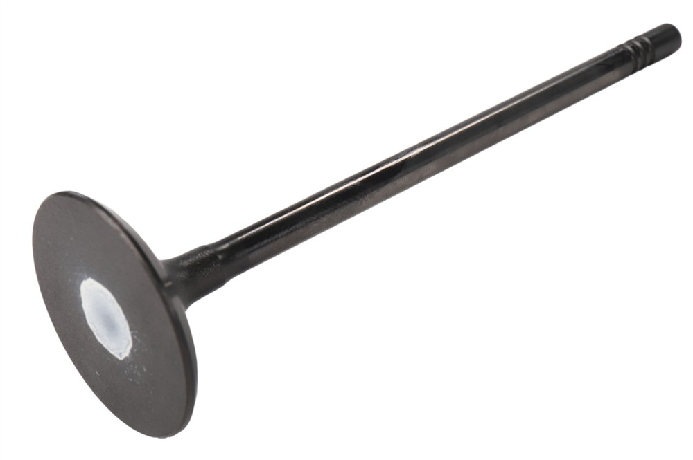 GM Genuine Parts Intake Valve