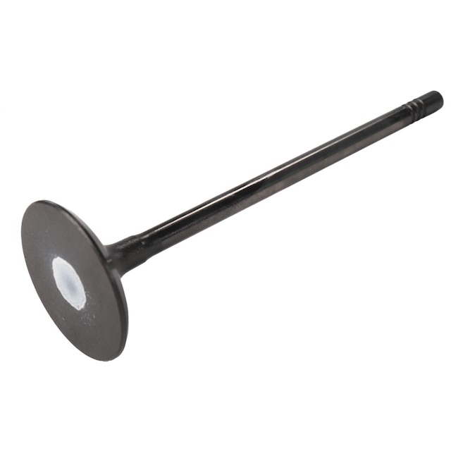 GM Genuine Parts Intake Valve