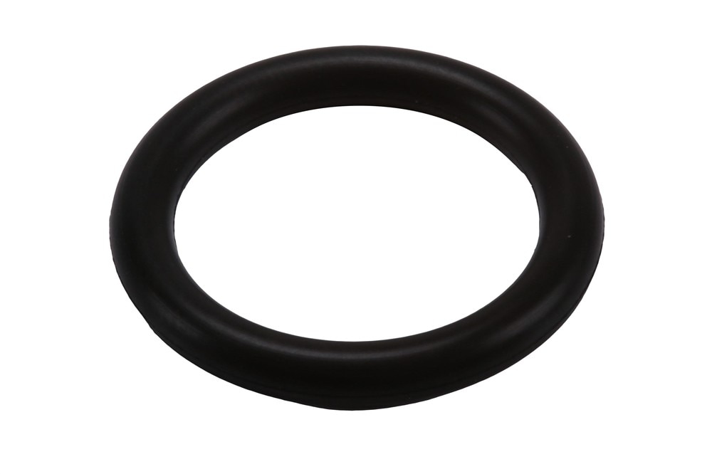 GM Genuine Parts Oil Transfer Tube Seal