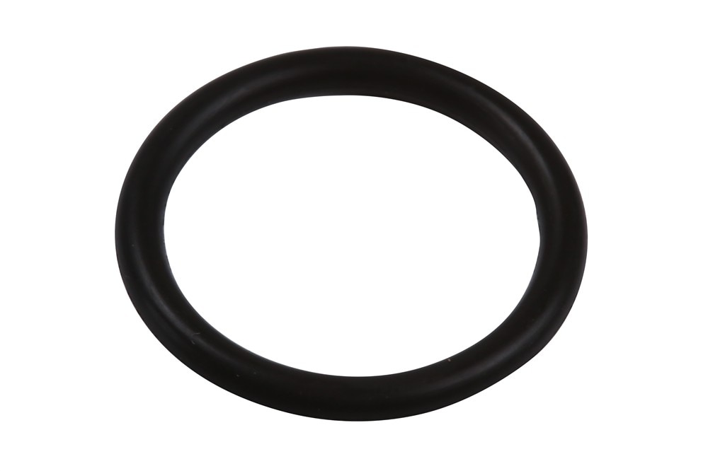 GM Genuine Parts Oil Transfer Tube Seal