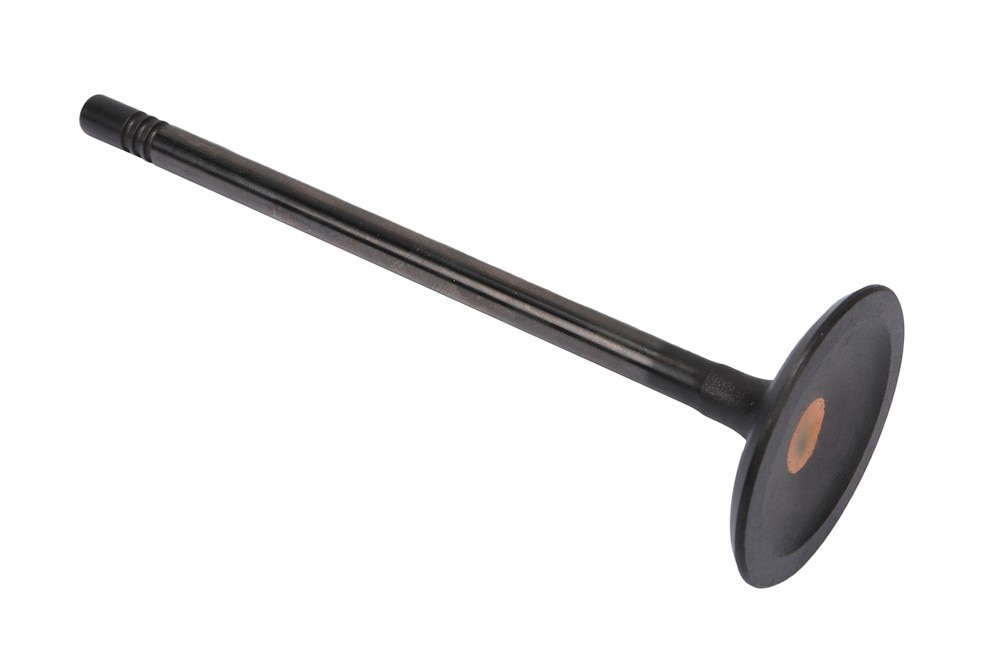 GM Genuine Parts Intake Valve