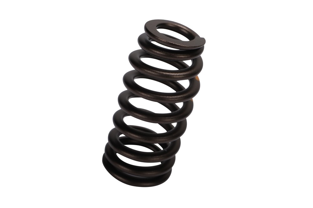 GM Genuine Parts Valve Spring