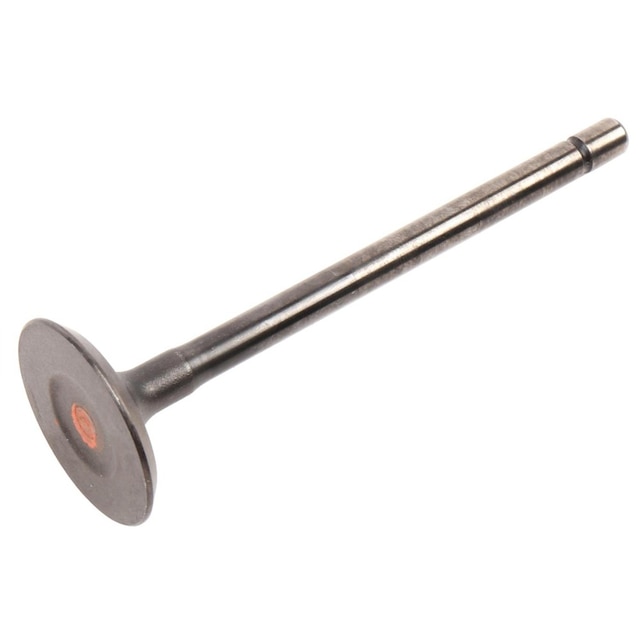 GM Genuine Parts Exhaust Valve