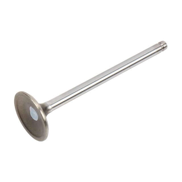 GM Genuine Parts Exhaust Valve