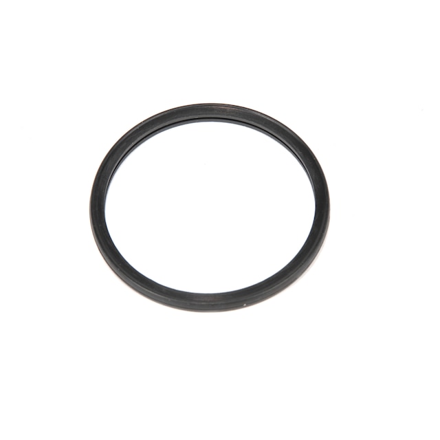 GM Genuine Parts Engine Coolant Thermostat O-Ring
