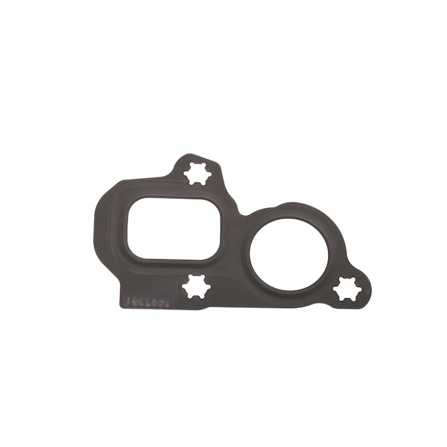 GM Genuine Parts Water Pump Gasket