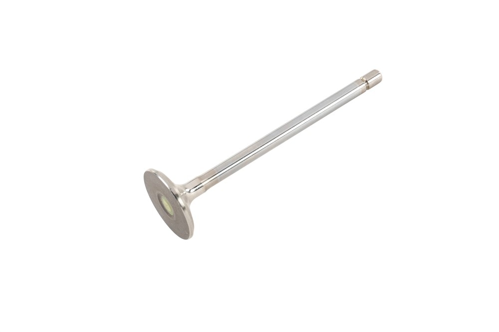GM Genuine Parts Exhaust Valve