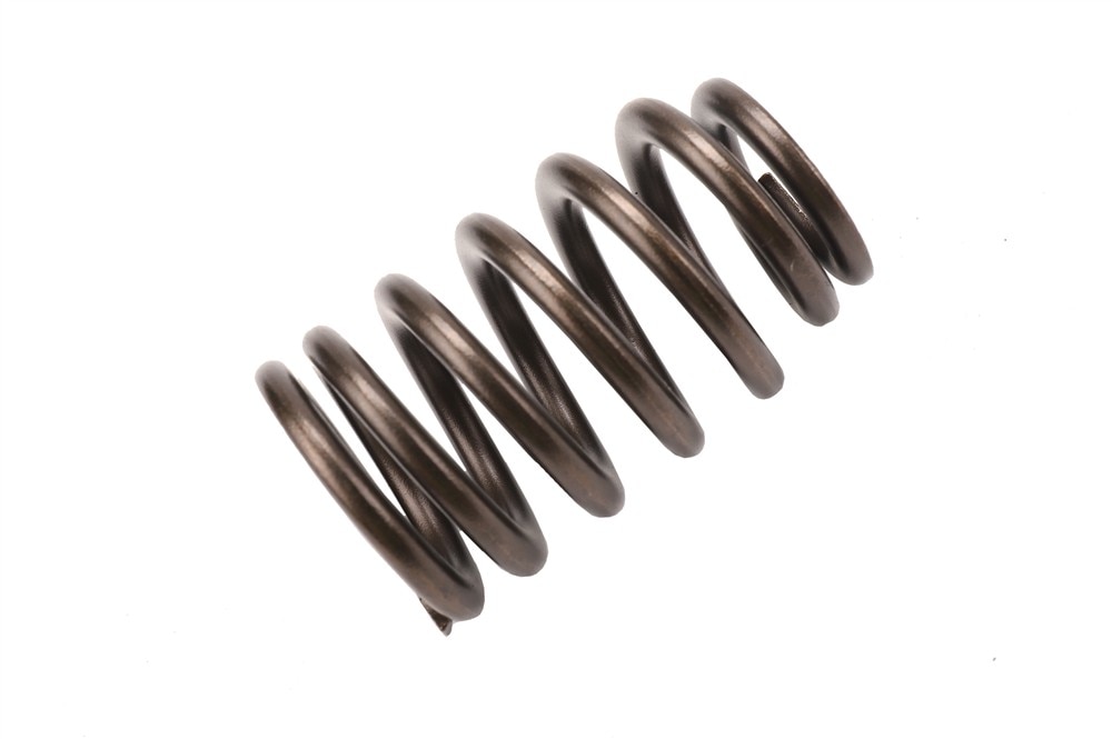 GM Genuine Parts Valve Spring
