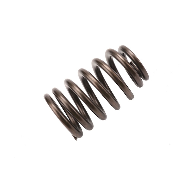 GM Genuine Parts Valve Spring