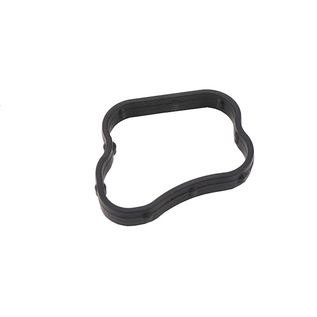 GM Genuine Parts Water Outlet Seal