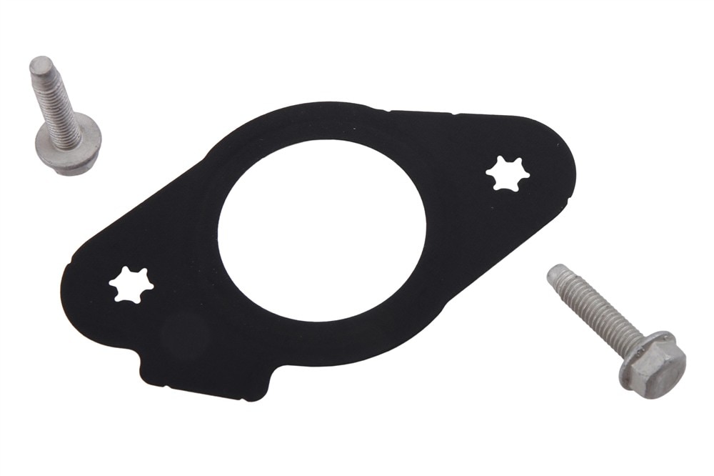 GM Genuine Parts Fuel Injection Pump Gasket