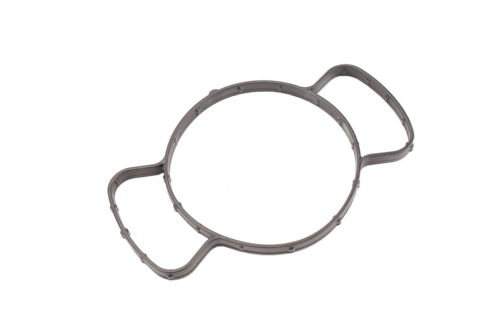 GM Genuine Parts Water Pump Seal