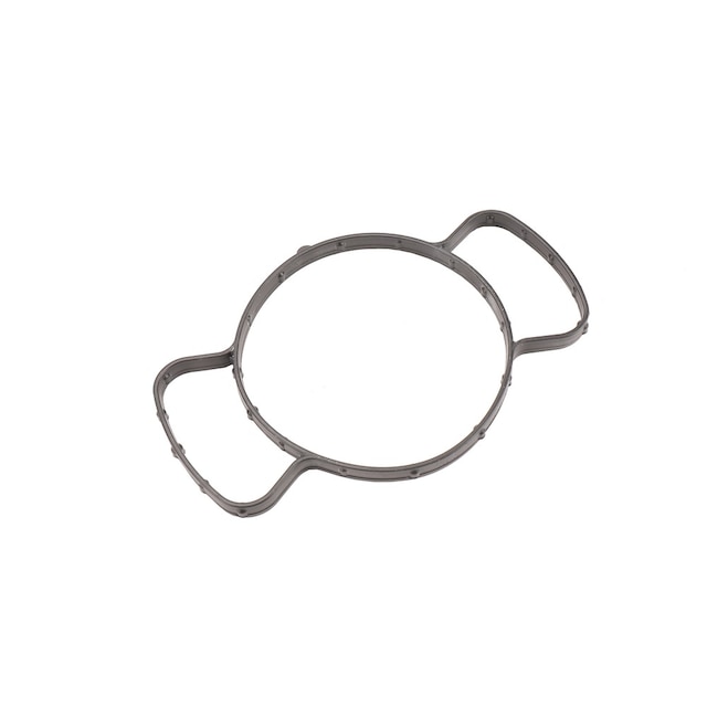 GM Genuine Parts Water Pump Seal