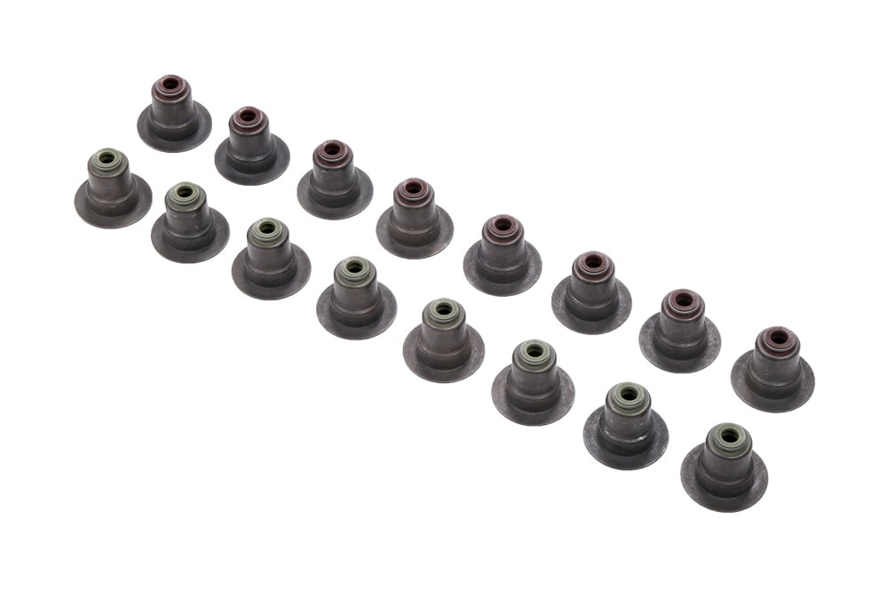 GM Genuine Parts Engine Valve Stem Oil Seal Kit