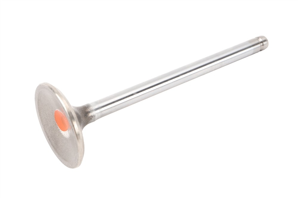 GM Genuine Parts Exhaust Valve