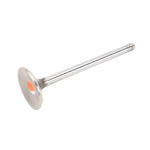 GM Genuine Parts Exhaust Valve
