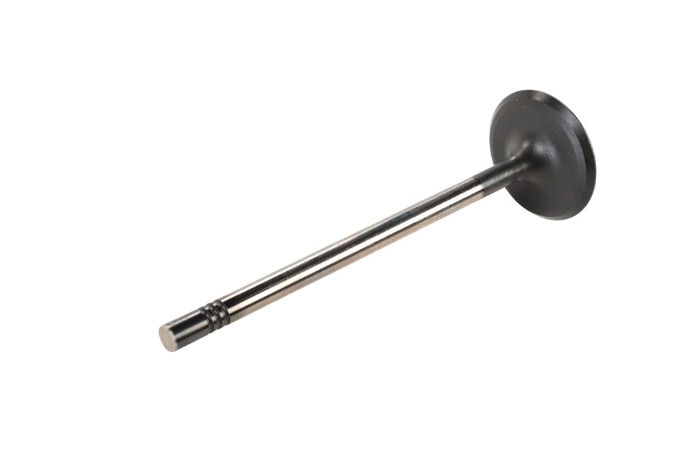 GM Genuine Parts Engine Intake Valve