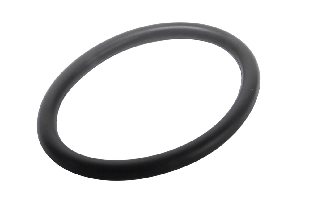 GM Genuine Parts Oil Transfer Tube Seal