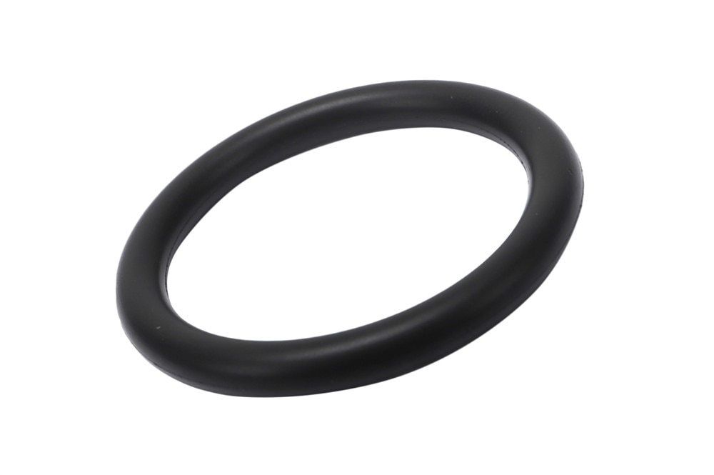 GM Genuine Parts Oil Transfer Tube Seal