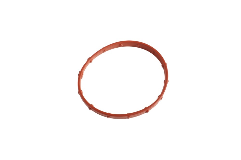 GM Genuine Parts Intake Manifold Gasket