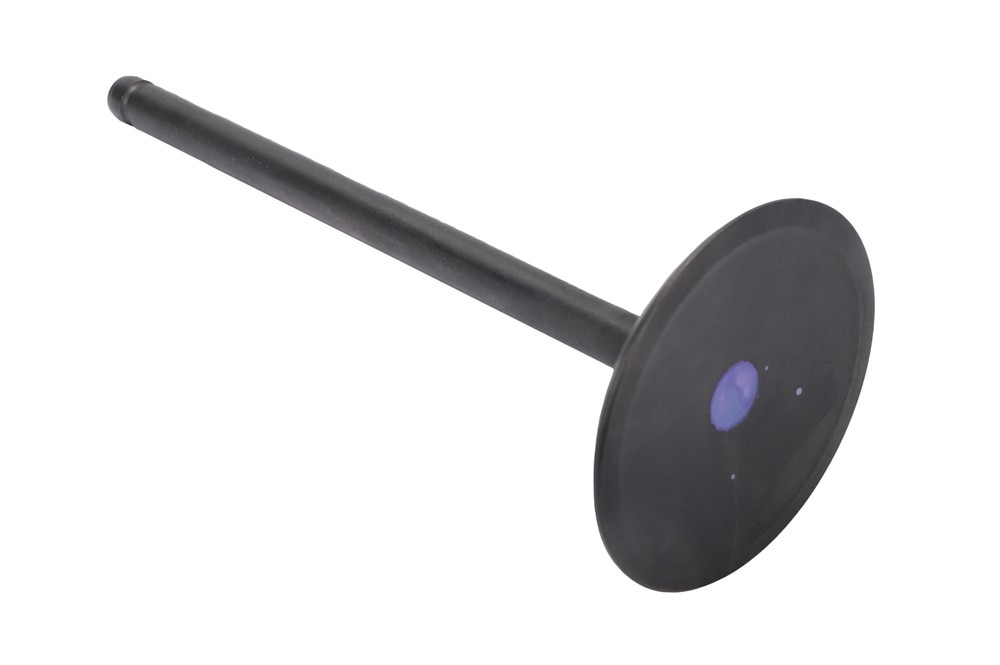 GM Genuine Parts Intake Valve