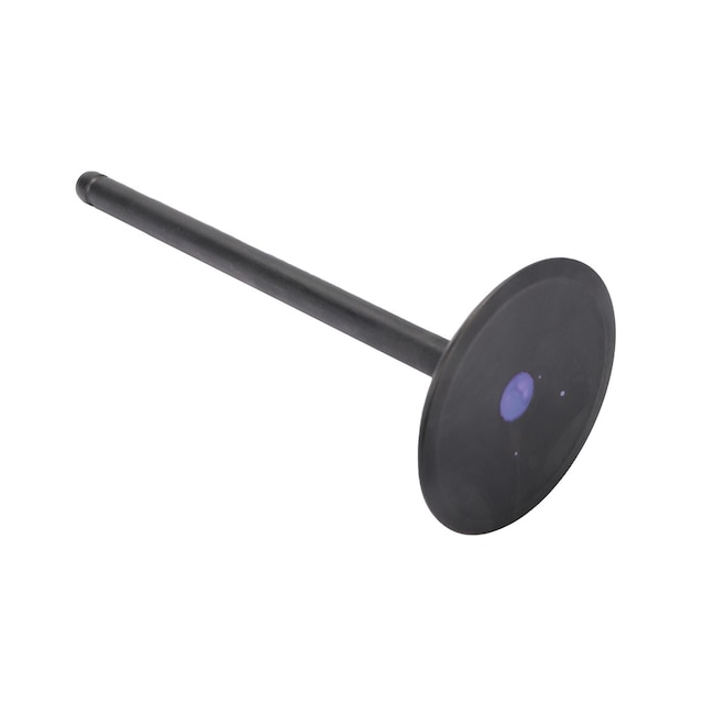 GM Genuine Parts Intake Valve