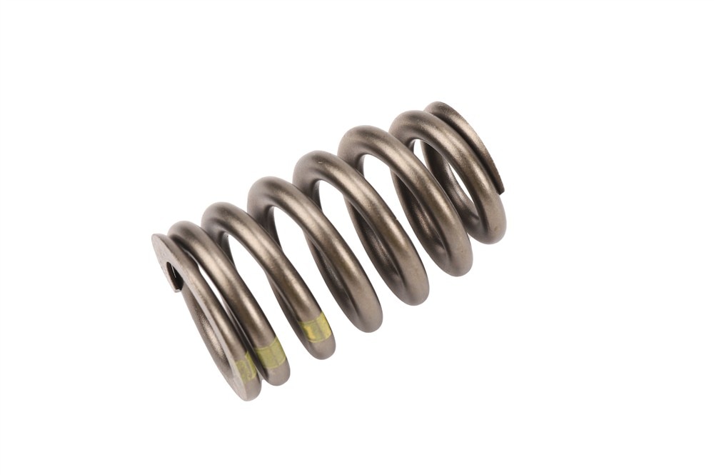 GM Genuine Parts Valve Spring