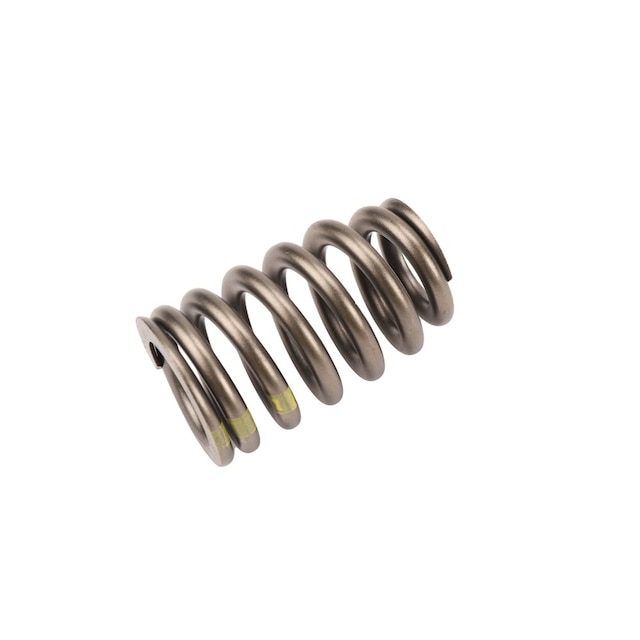 GM Genuine Parts Valve Spring
