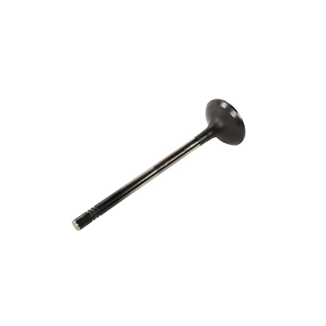 GM Genuine Parts Engine Exhaust Valve