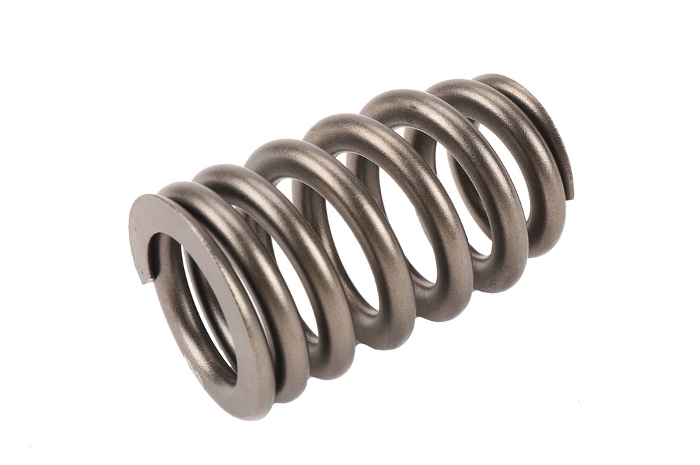 GM Genuine Parts Valve Spring