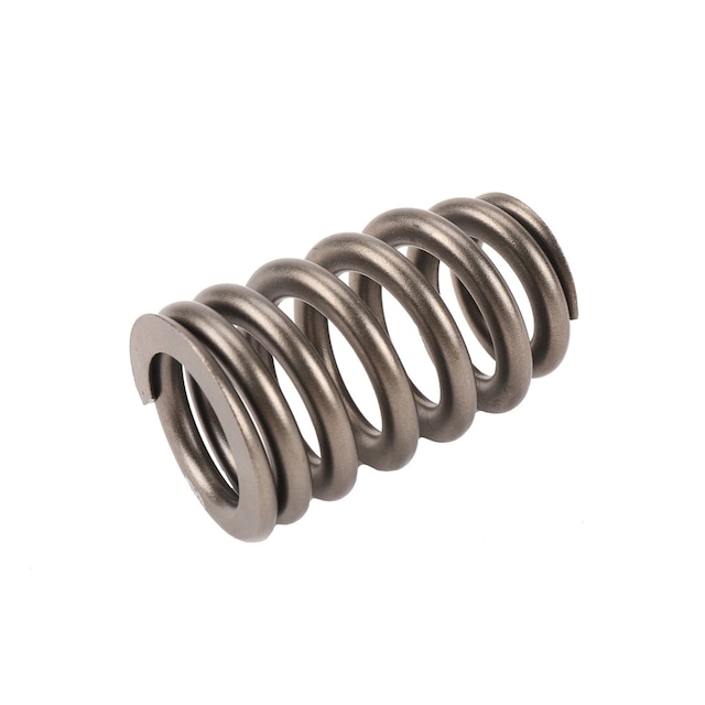 GM Genuine Parts Valve Spring