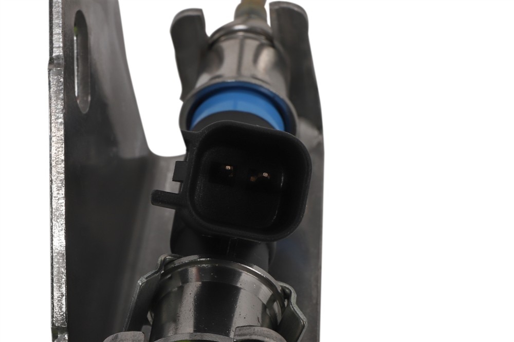 Alternate Image