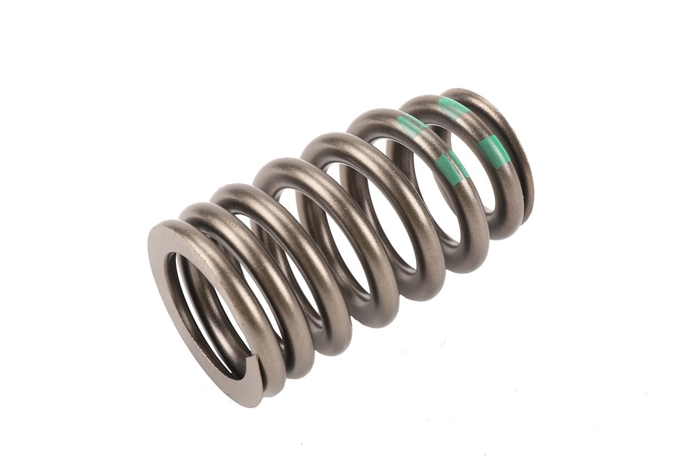 GM Genuine Parts Valve Spring