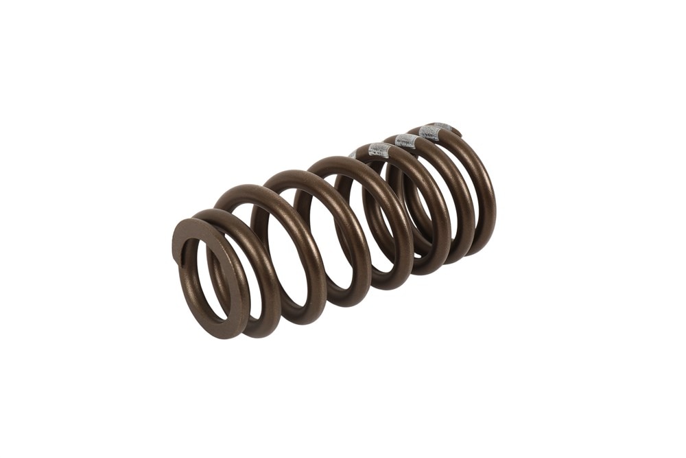 GM Genuine Parts Valve Spring
