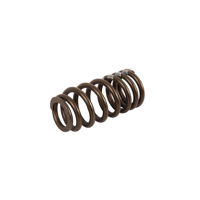 GM Genuine Parts Valve Spring