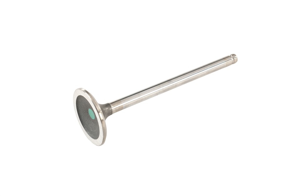 GM Genuine Parts Exhaust Valve