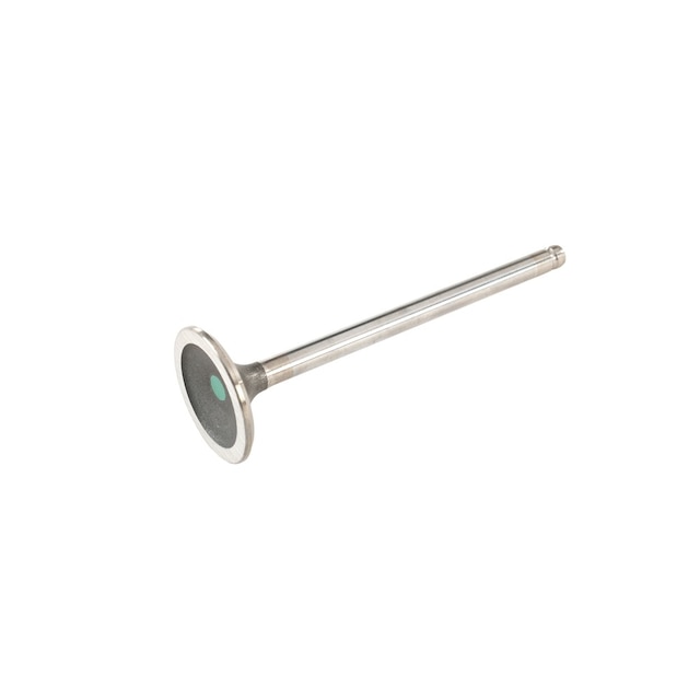 GM Genuine Parts Exhaust Valve