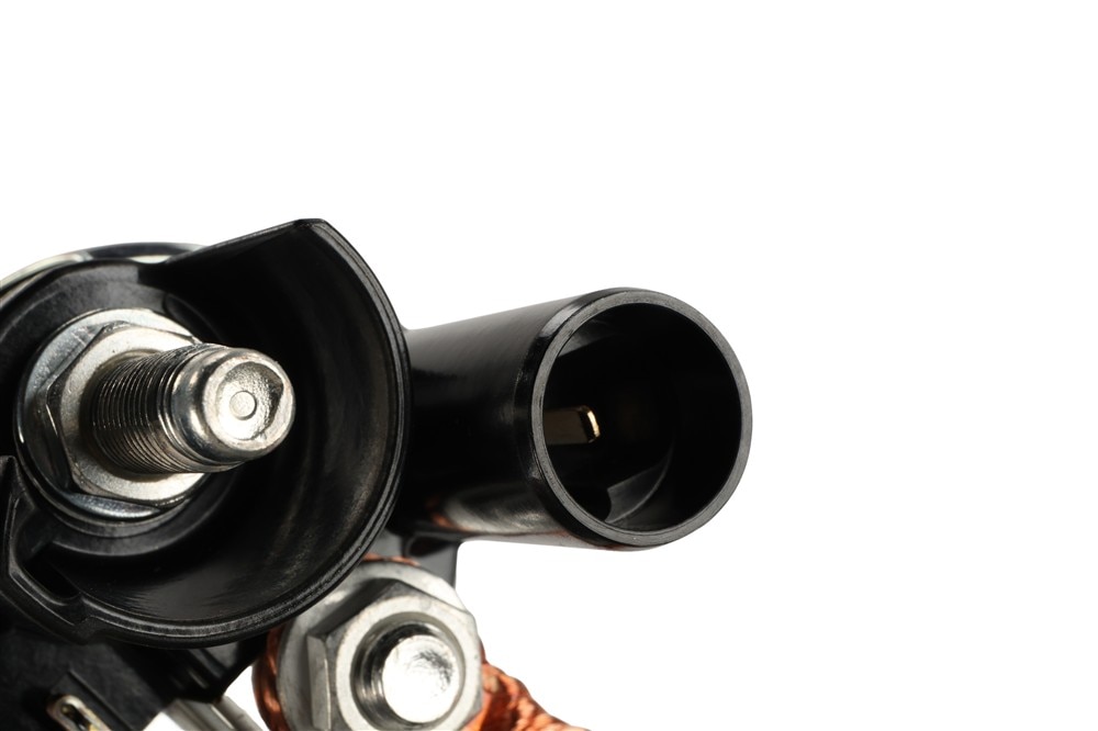 Alternate Image